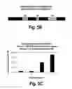 Fig. 07 - Methods of treating cancer by administering IGF-IR binding molecules