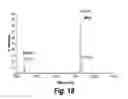 Fig. 20 - Methods of treating cancer by administering IGF-IR binding molecules