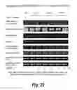 Fig. 30 - Methods of treating cancer by administering IGF-IR binding molecules