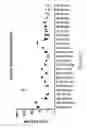 Fig. 10 - Human immunodeficiency virus neutralizing antibodies