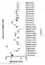 Fig. 11 - Human immunodeficiency virus neutralizing antibodies