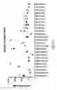 Fig. 12 - Human immunodeficiency virus neutralizing antibodies