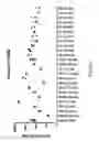 Fig. 14 - Human immunodeficiency virus neutralizing antibodies