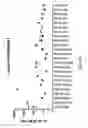 Fig. 15 - Human immunodeficiency virus neutralizing antibodies