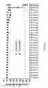 Fig. 19 - Human immunodeficiency virus neutralizing antibodies