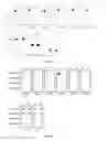 Fig. 08 - Alpha-synuclein antibodies and uses thereof
