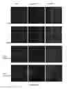Fig. 30 - Alpha-synuclein antibodies and uses thereof