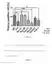 Fig. 31 - Alpha-synuclein antibodies and uses thereof