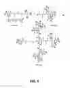Fig. 07 - Antibodies and conjugates thereof