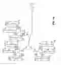 Fig. 11 - Antibodies and conjugates thereof