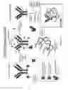 Fig. 19 - Antibodies and conjugates thereof