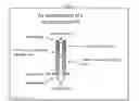 Fig. 06 - Compositions and methods for growth factor modulation