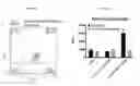 Fig. 23 - Compositions and methods for growth factor modulation