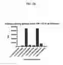 Fig. 03 - COMPOSITIONS FOR SELECTIVE REDUCTION OF CIRCULATING BIOACTIVE SOLUBLE TNF AND METHODS FOR TREATING TNF-MEDIATED DISEASE
