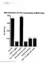 Fig. 10 - COMPOSITIONS FOR SELECTIVE REDUCTION OF CIRCULATING BIOACTIVE SOLUBLE TNF AND METHODS FOR TREATING TNF-MEDIATED DISEASE