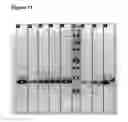 Fig. 22 - TNF binders
