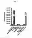 Fig. 03 - Antibodies that bind and block triggering receptor expressed on myeloid cells-1 (TREM-1)