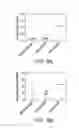 Fig. 09 - Methods for manipulating phagocytosis mediated by CD47