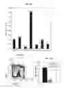 Fig. 25 - Methods for manipulating phagocytosis mediated by CD47