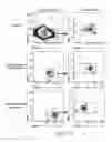 Fig. 34 - Methods for manipulating phagocytosis mediated by CD47