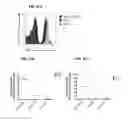 Fig. 44 - Methods for manipulating phagocytosis mediated by CD47
