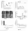 Fig. 50 - Methods for manipulating phagocytosis mediated by CD47