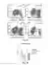 Fig. 07 - Antibody molecules to TIM-3 and uses thereof