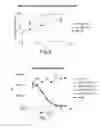 Fig. 08 - Antibody molecules to TIM-3 and uses thereof