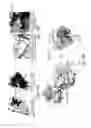 Fig. 11 - Antibody molecules to TIM-3 and uses thereof