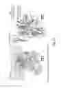 Fig. 12 - Antibody molecules to TIM-3 and uses thereof