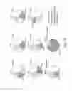 Fig. 15 - Antibody molecules to TIM-3 and uses thereof