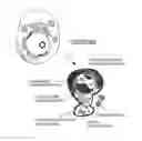 Fig. 01 - ANTI-ErbB2 ANTIBODIES