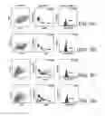 Fig. 04 - ANTI-ErbB2 ANTIBODIES
