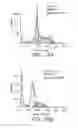 Fig. 17 - ANTI-ErbB2 ANTIBODIES
