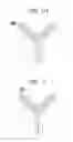 Fig. 04 - Carrier immunoglobulins