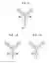 Fig. 06 - Carrier immunoglobulins