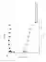 Fig. 19 - Carrier immunoglobulins