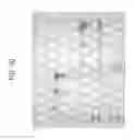 Fig. 40 - Carrier immunoglobulins