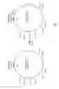 Fig. 04 - Genetic engineering of non-human animals for the production of chimeric antibodies