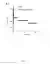 Fig. 11 - Proteoliposome and production method thereof
