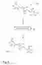 Fig. 05 - Release liner comprising nanofibrillar cellulose