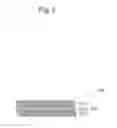Fig. 05 - Myoglobin-containing food freshness deterioration suppressing material and use thereof