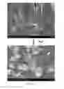 Fig. 04 - Hydrochromic polydiacetylene composite composition, hydrochromic thin film using same, and use thereof