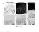 Fig. 09 - Hydrochromic polydiacetylene composite composition, hydrochromic thin film using same, and use thereof