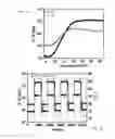 Fig. 04 - Hydrogel