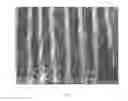 Fig. 14 - Methods, processes, and apparatuses for producing welded substrates