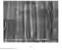 Fig. 32 - Methods, processes, and apparatuses for producing welded substrates