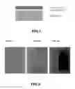 Fig. 02 - PROCESS FOR PREPARING A COMPOSITE PART THAT IS ELECTRICALLY CONDUCTIVE AT THE SURFACE, AND APPLICATIONS