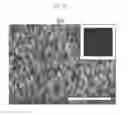 Fig. 07 - Superhydrophilic surface body, fabricating method thereof, and filter for oil and water separation