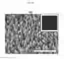 Fig. 10 - Superhydrophilic surface body, fabricating method thereof, and filter for oil and water separation